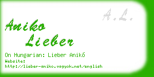 aniko lieber business card